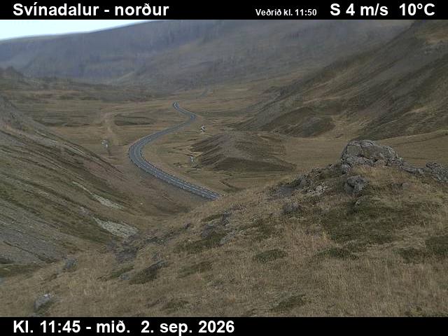 svinadalur_1-1788357642.jpg