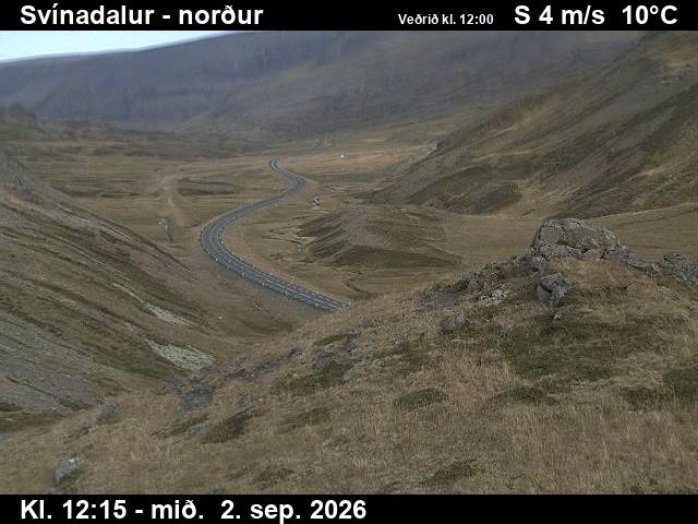 svinadalur_1-1788359136.jpg