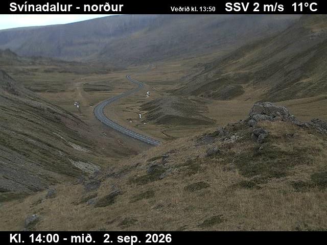 svinadalur_1-1788364898.jpg
