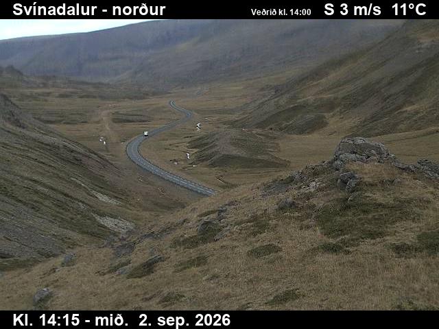 svinadalur_1-1788366342.jpg