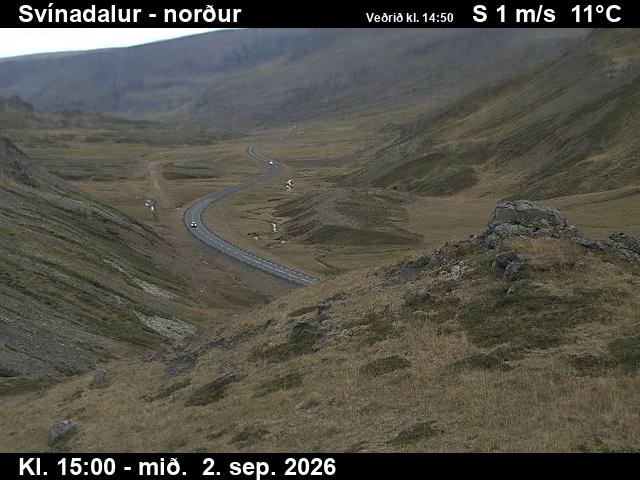 svinadalur_1-1788368476.jpg