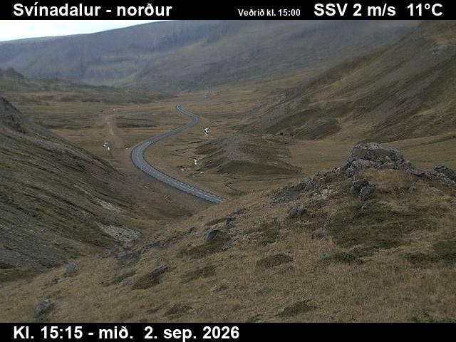 svinadalur_1-1788369943.jpg