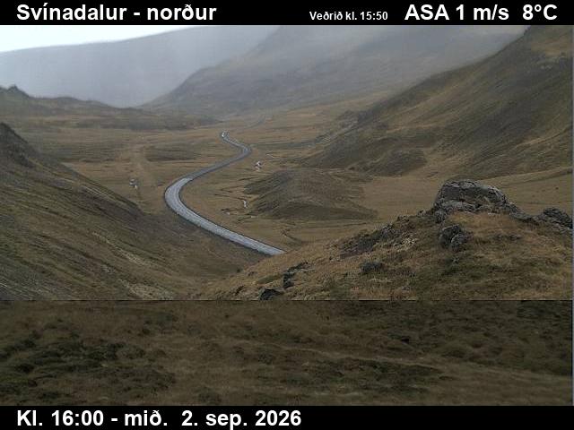 svinadalur_1-1788372129.jpg