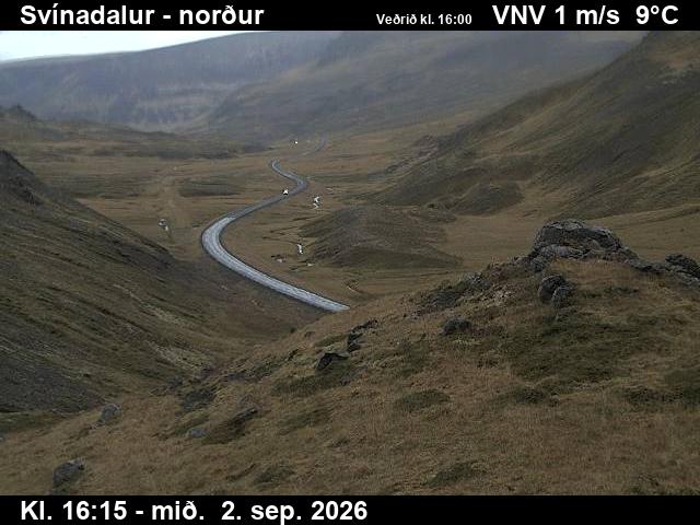 svinadalur_1-1788373545.jpg