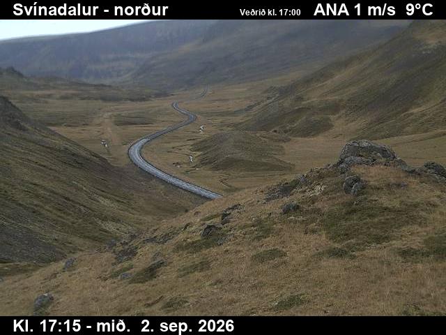 svinadalur_1-1788377131.jpg