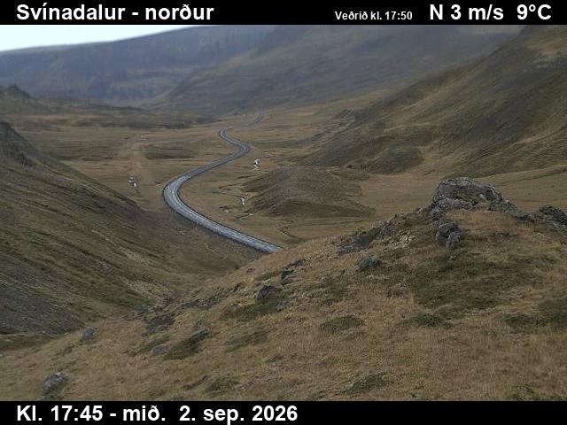 svinadalur_1-1788379246.jpg