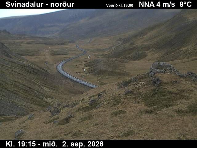 svinadalur_1-1788384335.jpg