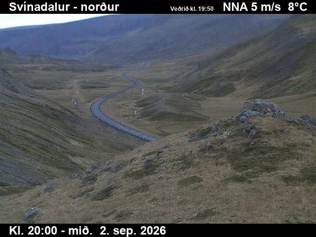 svinadalur_1-1788386469.jpg