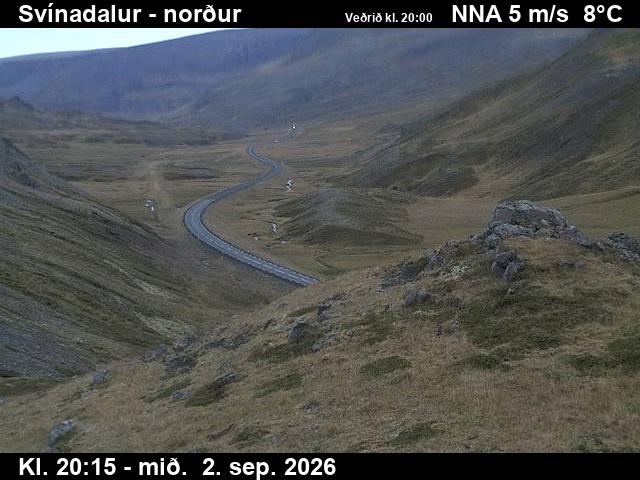 svinadalur_1-1788387957.jpg
