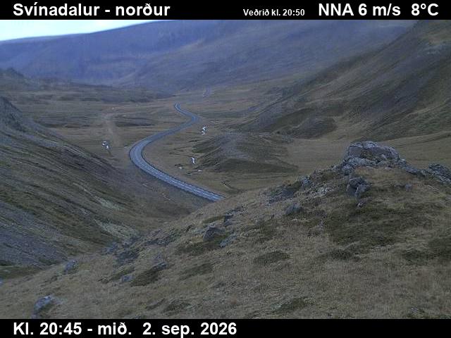 svinadalur_1-1788390028.jpg
