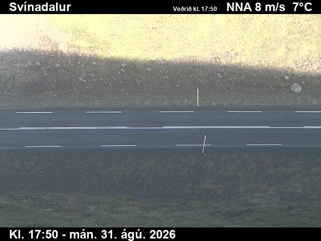 svinadalur_2-1788206524.jpg