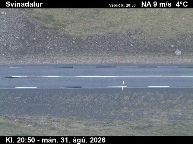 svinadalur_2-1788217249.jpg