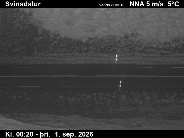 svinadalur_2-1788229538.jpg