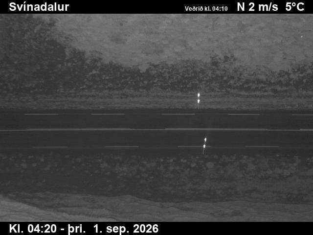 svinadalur_2-1788243943.jpg