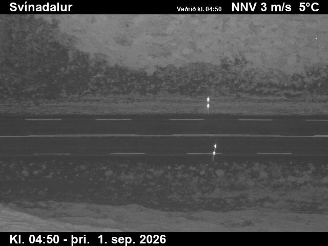 svinadalur_2-1788246068.jpg