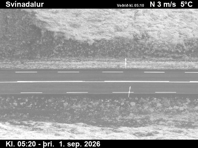 svinadalur_2-1788247590.jpg