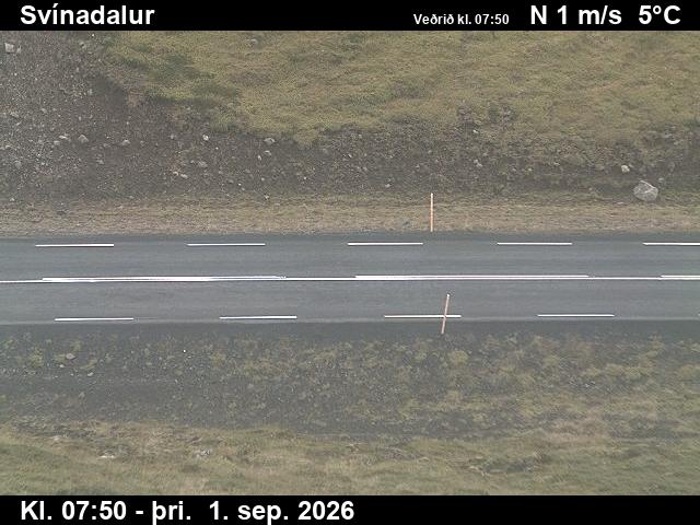 svinadalur_2-1788256844.jpg