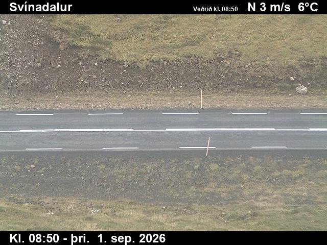 svinadalur_2-1788260476.jpg
