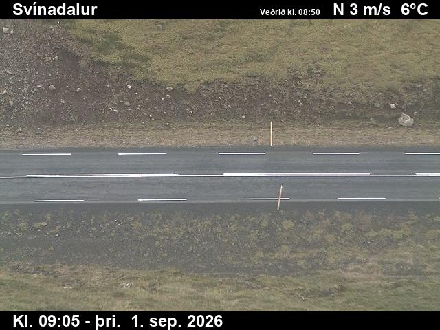 svinadalur_2-1788260763.jpg