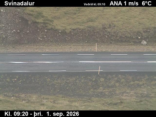 svinadalur_2-1788261929.jpg