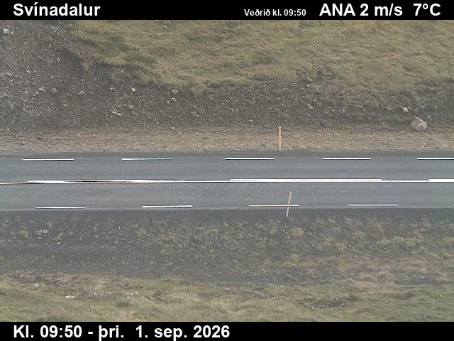 svinadalur_2-1788264049.jpg