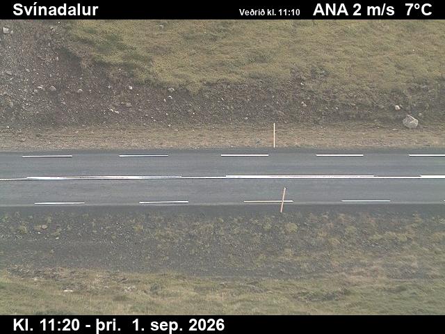svinadalur_2-1788269147.jpg