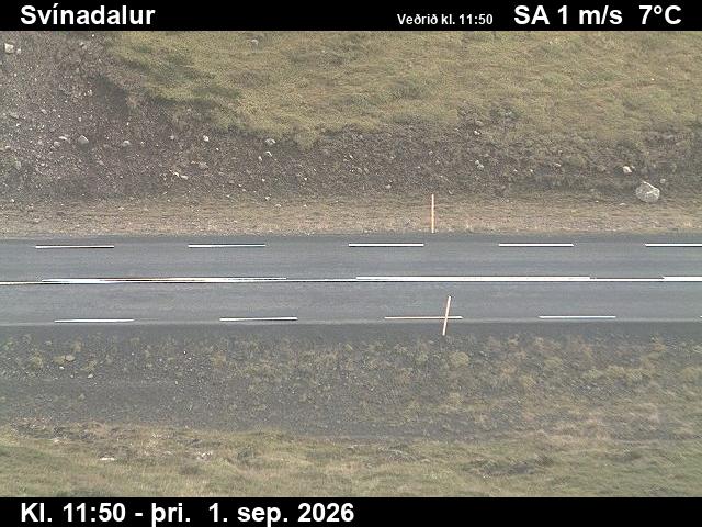 svinadalur_2-1788271235.jpg