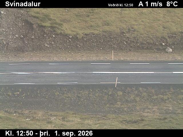 svinadalur_2-1788274830.jpg