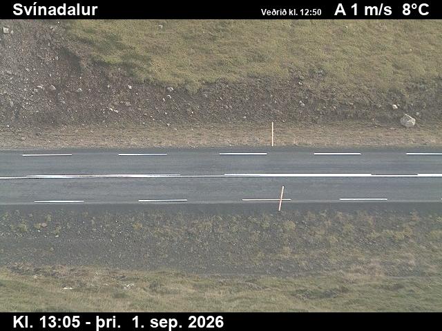 svinadalur_2-1788275130.jpg