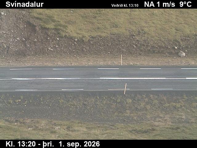 svinadalur_2-1788276372.jpg