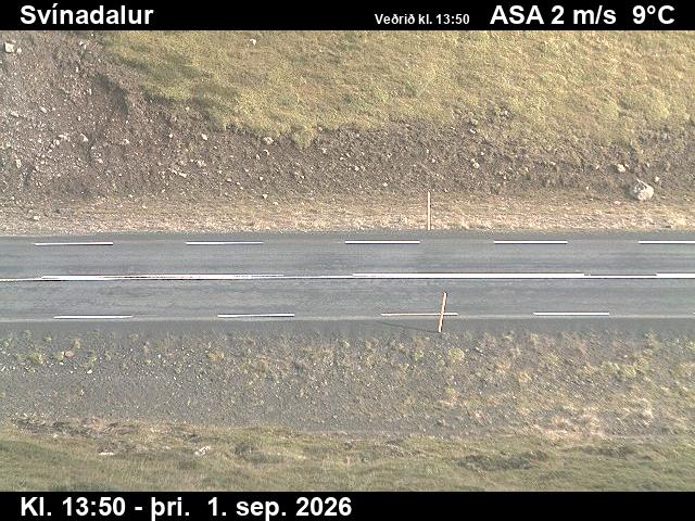 svinadalur_2-1788278545.jpg