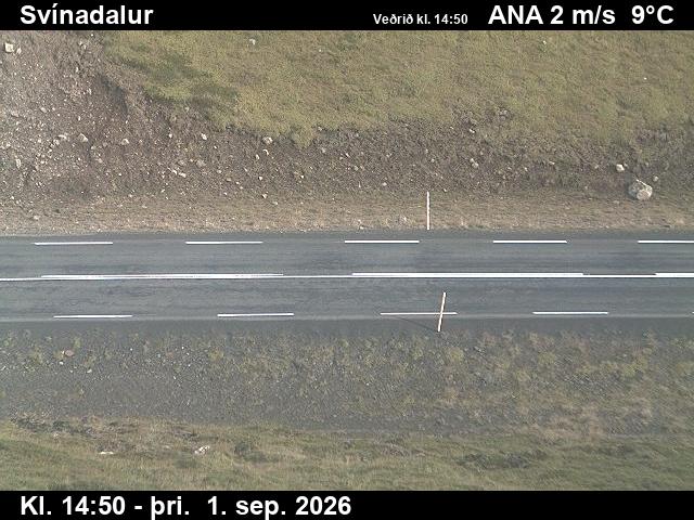 svinadalur_2-1788282068.jpg