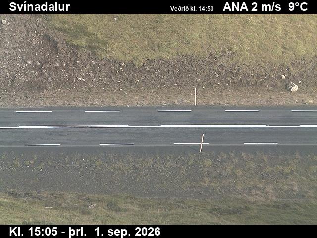 svinadalur_2-1788282378.jpg