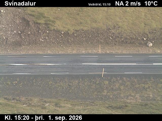 svinadalur_2-1788283545.jpg