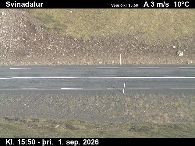 svinadalur_2-1788285659.jpg