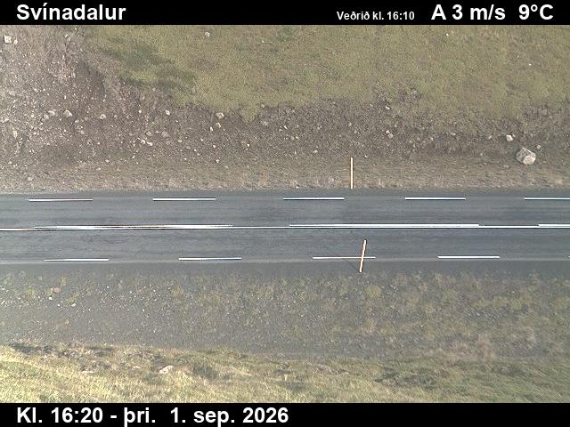 svinadalur_2-1788287168.jpg