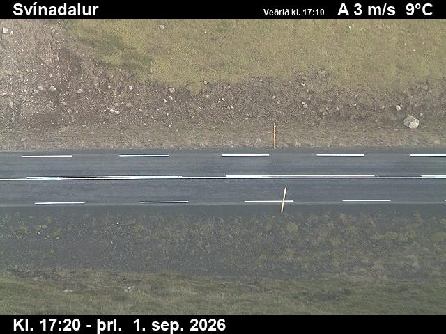 svinadalur_2-1788290755.jpg