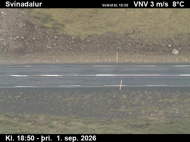 svinadalur_2-1788296439.jpg