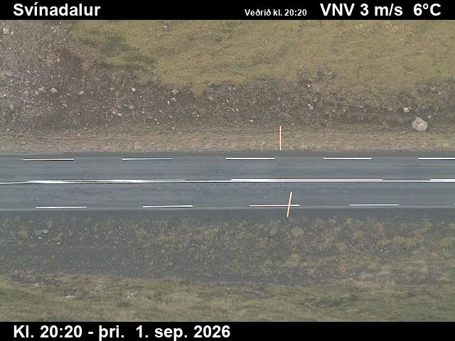 svinadalur_2-1788301571.jpg