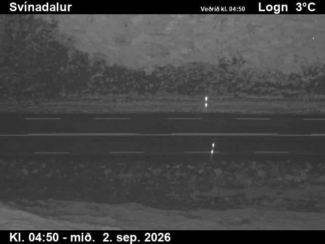svinadalur_2-1788332464.jpg