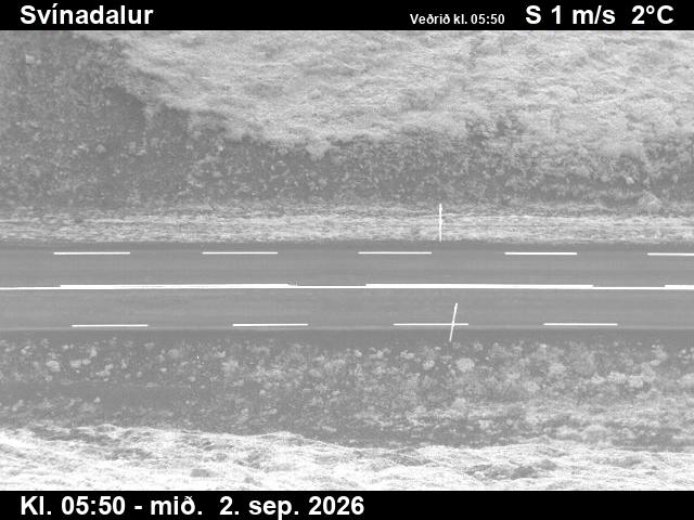 svinadalur_2-1788336048.jpg
