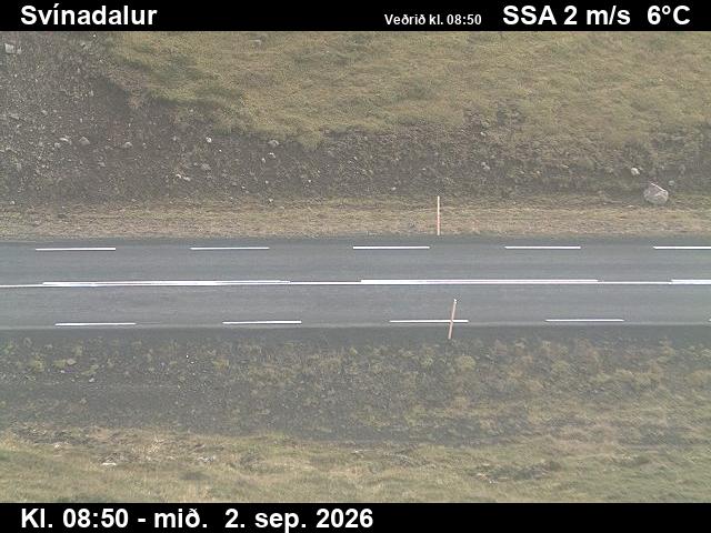 svinadalur_2-1788346910.jpg