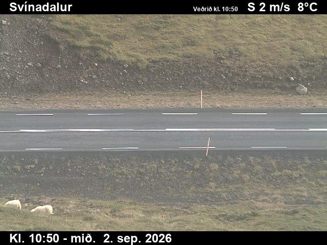 svinadalur_2-1788354181.jpg