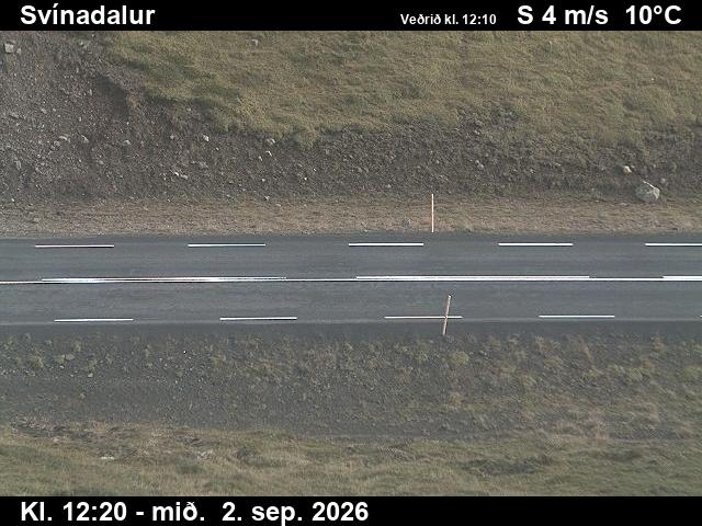 svinadalur_2-1788359136.jpg