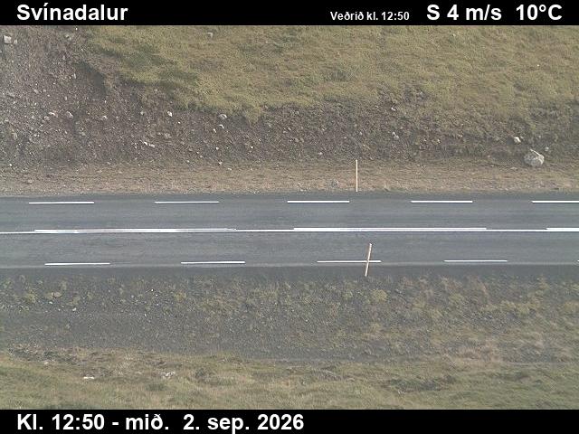 svinadalur_2-1788361290.jpg