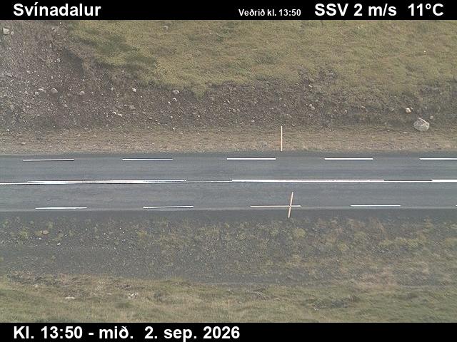 svinadalur_2-1788364858.jpg