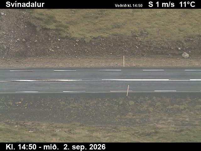 svinadalur_2-1788368443.jpg