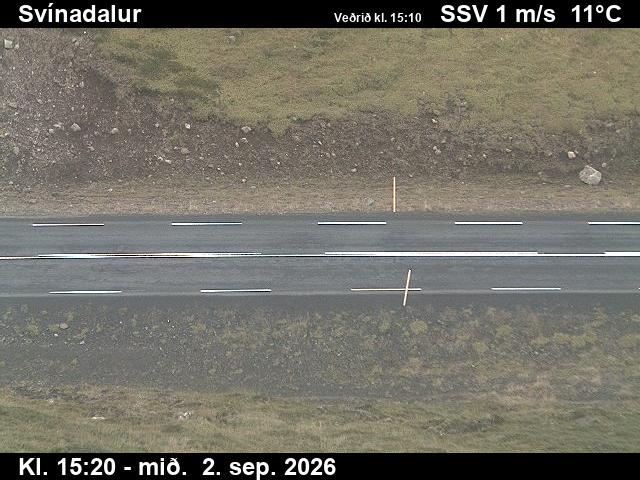 svinadalur_2-1788369933.jpg