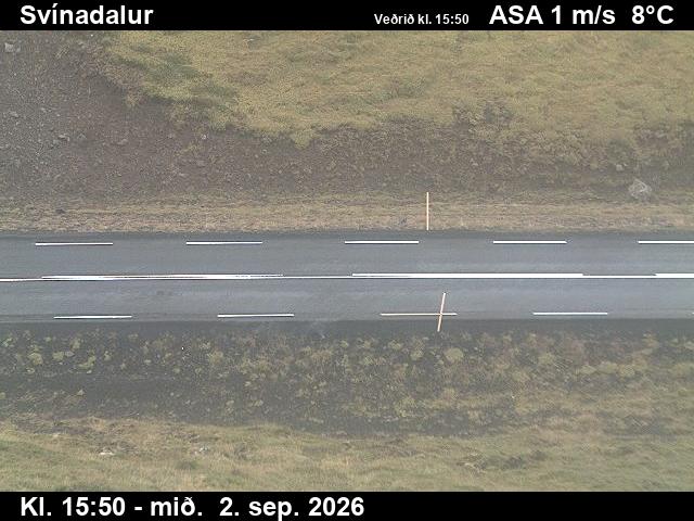 svinadalur_2-1788372128.jpg