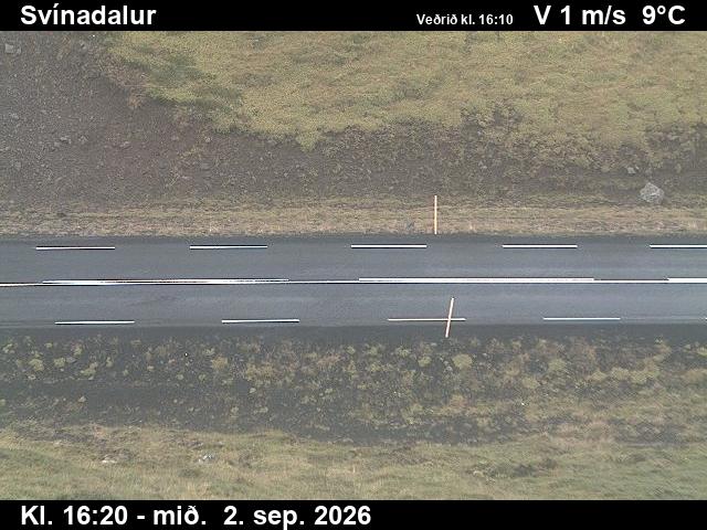svinadalur_2-1788373533.jpg